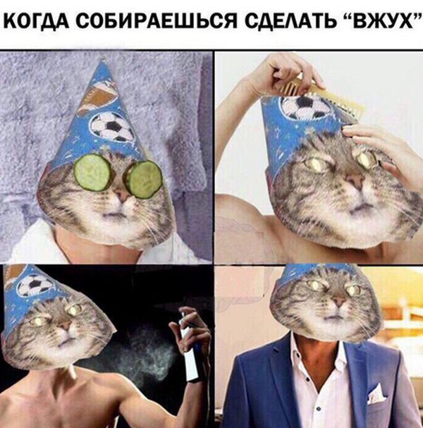 Кот-волшебник стал мемом «Вжух» (11 фото)