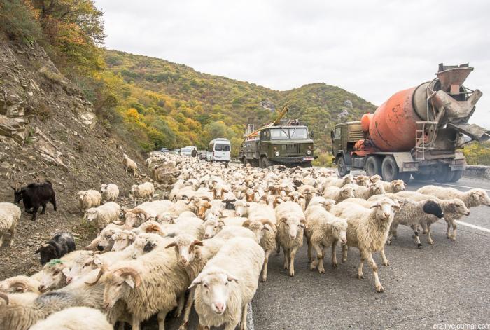Пробки на Военно-Грузинской дороге (12 фото)