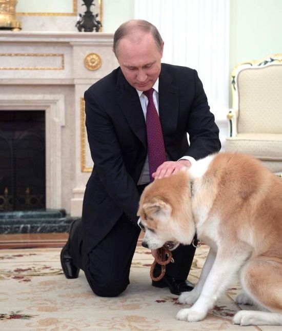Путин показал японским журналистам подаренную ему собаку (3 фото)