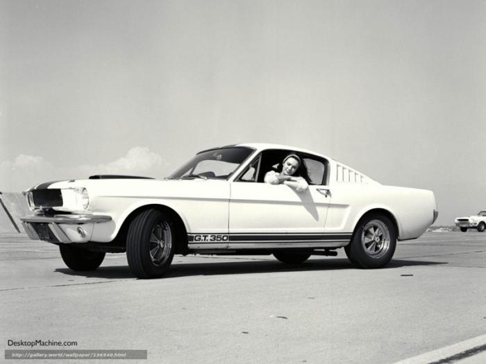  :   GT500 1967  (13  + )