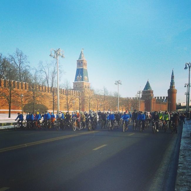 В Москве состоялся зимний велопарад (8 фото)