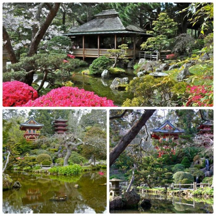 Японский чайный сад в парке Золотые Ворота (8 фото)