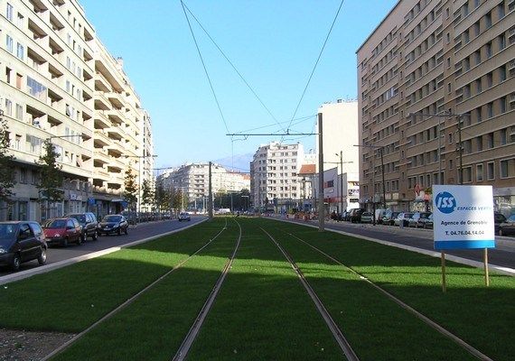 Трава на трамвайных путях (16 фото)