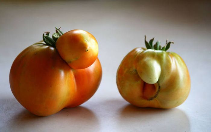 Овощи и фрукты причудливой формы (50 фото)