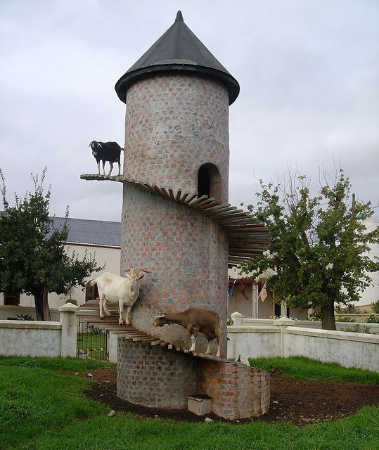 Башня для горных козлов (9 фото)