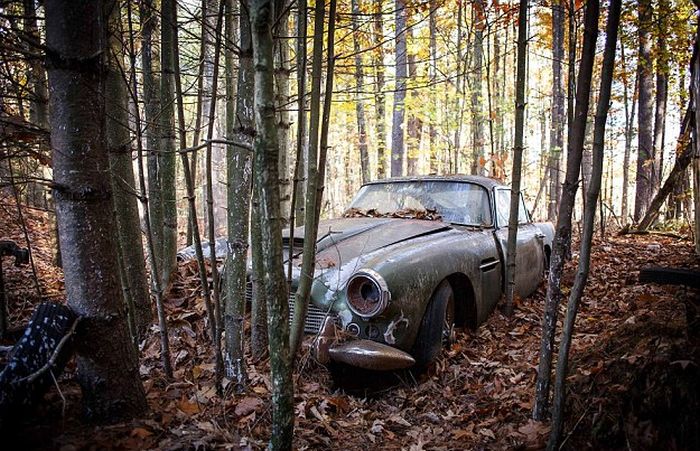Aston Martin DB4, простоявшего 40 лет в лесу, продадут (8 фото)