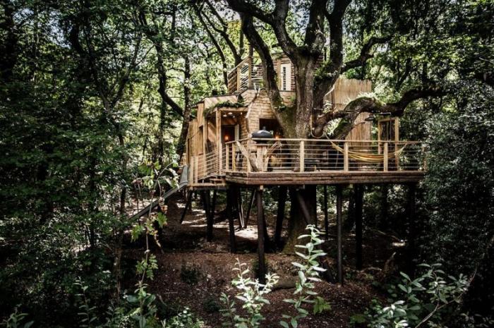 Удивительный домик на дереве в Англии (14 фото)