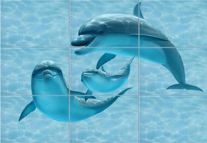 Когда никогда не видел дельфинов (2 фото)