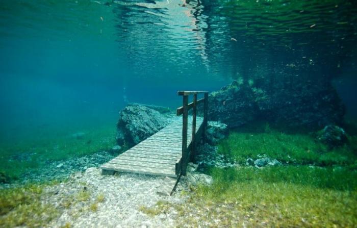 Подводная магия парка «Грюнер Зее» (14 фото)