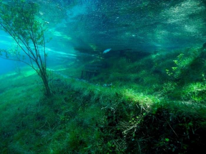 Подводная магия парка «Грюнер Зее» (14 фото)