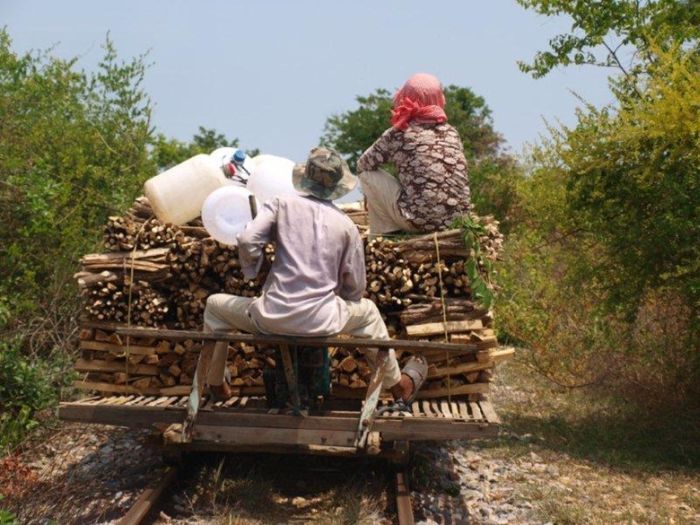 Поезд из бамбука (16 фото)