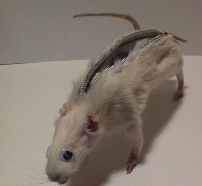 Пенал для карандашей из крысы с точилкой в заду (4 фото)