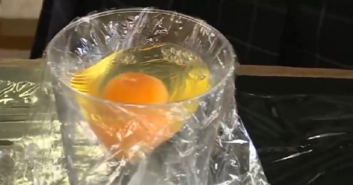 Они разбили яйцо в пластиковый стакан и накрыли его пленкой  (11 фото)