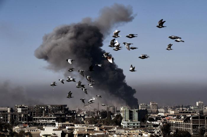 Ужасающие кадры войны в иракском городе (22 фото)