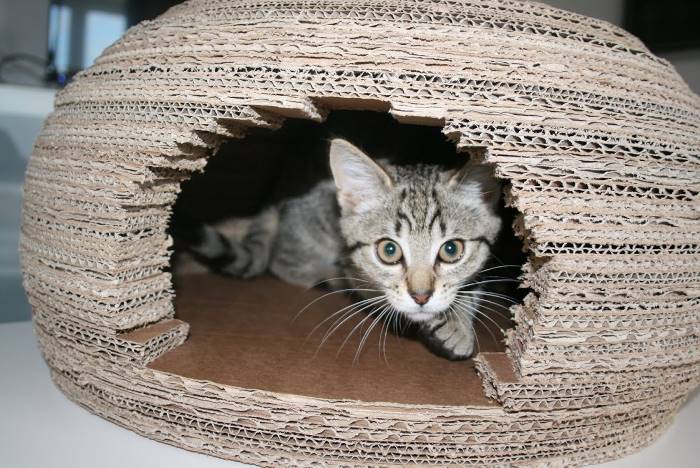Как сделать домик для кошки из картона
