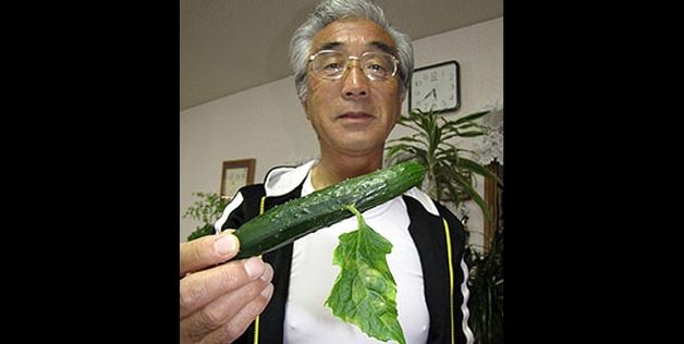 Богатый урожай фруктов и овощей из-под Фукусимы (10 фото)