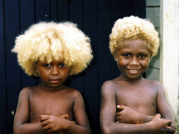Чернокожие блондины родом из Меланезии (9 фото)