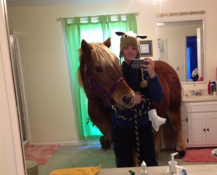 Девушка провела лошадь в родительскую спальню ради селфи (3 фото)