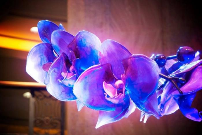 Гигантские цветы из стекла от Джейсона Гамрата (21 фото)