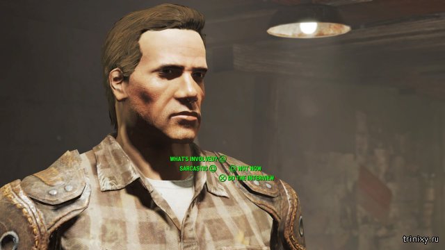       Fallout 4 (9 )