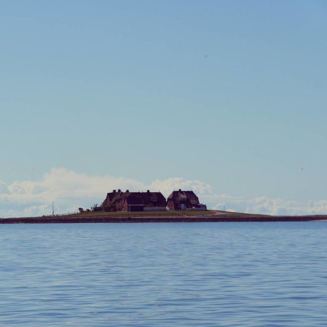Халлиги - временные острова у побережья Северного моря (20 фото)