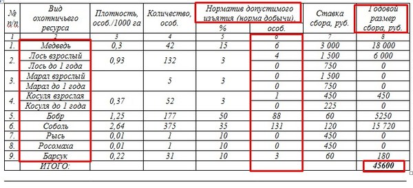 На Кузбассе сдают в аренду 142 000 гектаров тайги за 6 400 р. (8 фото)
