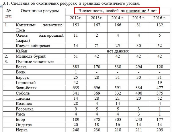 На Кузбассе сдают в аренду 142 000 гектаров тайги за 6 400 р. (8 фото)