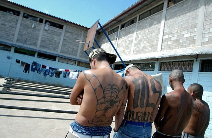 Камеры членов банды MS-13 в Гондурасе (7 фото)