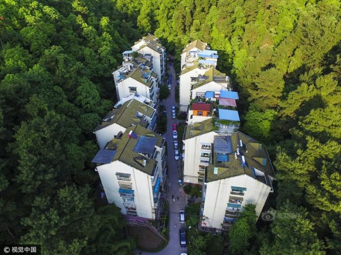 Китайский жилой район посреди леса (8 фото)