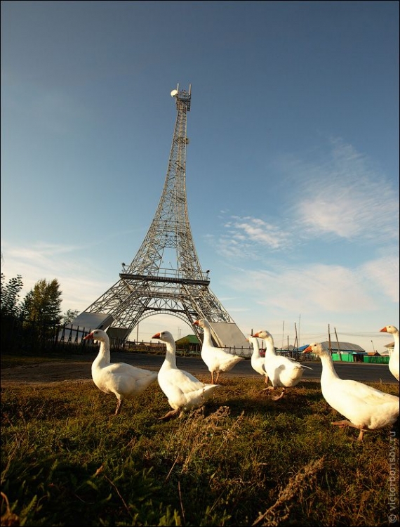 Эйфелева башня в Париже (6 фото)