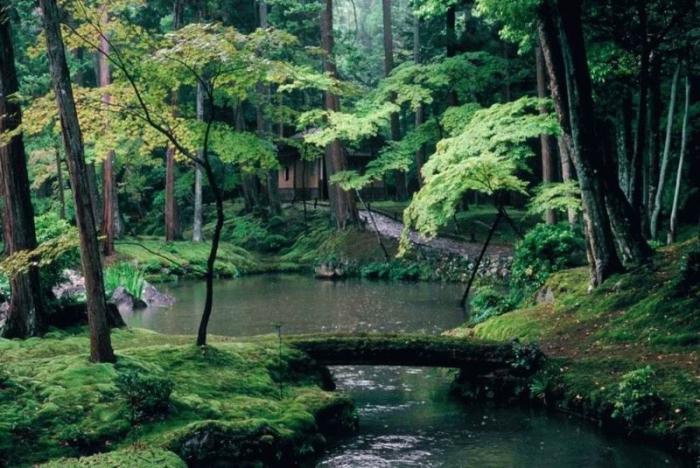 Сад мхов Saiho-ji. Япония (28 фото)