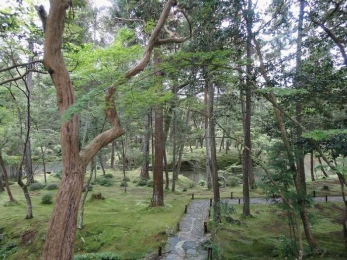 Сад мхов Saiho-ji. Япония (28 фото)