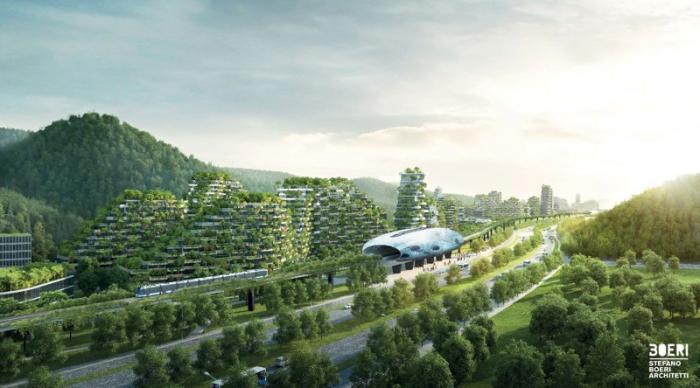 В Китае хотят создать зеленый город из 40 тысяч деревьев (7 фото)