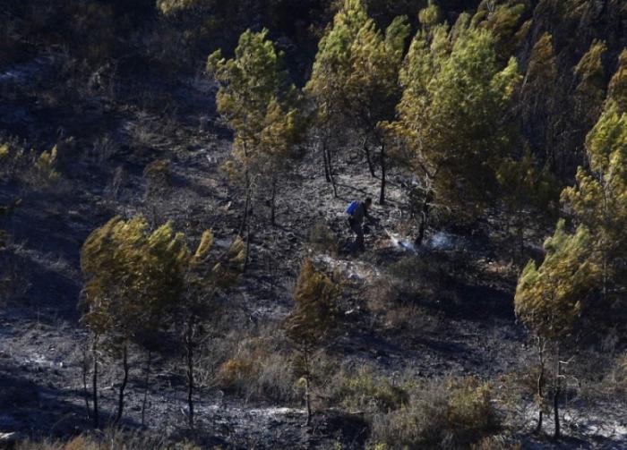 Лесные пожары на севере Израиля (35 фото)
