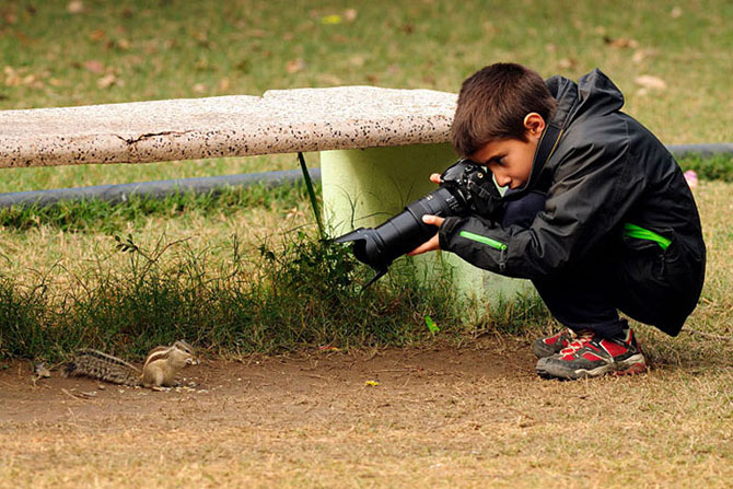 Кто стал победителем конкурса Young Wildlife Photographer (15 фото)
