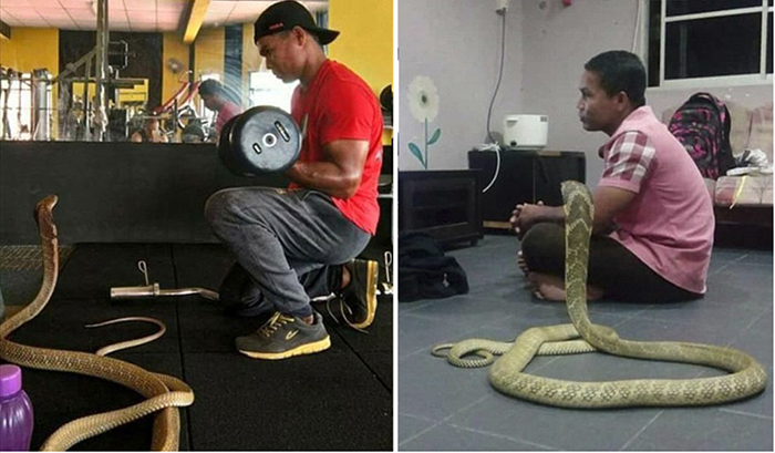 Парень из Таиланда женился на трехметровой змее (7 фото)