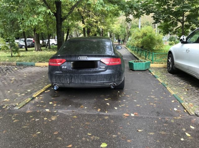 Автоледи отучили от парковки в неположенном месте (2 фото)
