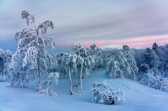 Финляндия. Снежные ландшафты (15 фото)