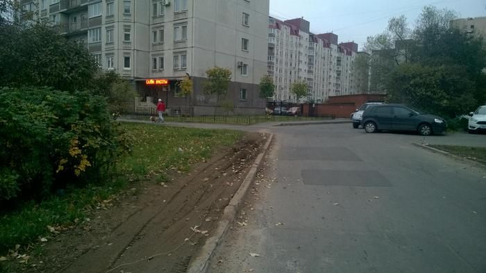 Война за газон в одном из дворов Санкт-Петербурга (12 фото)