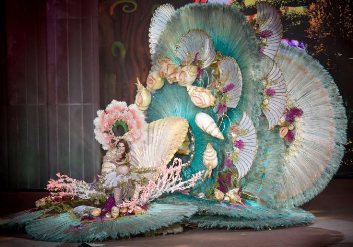 Как проходит карнавал в Санта Крус де Тенерифе 2018 (16 фото)