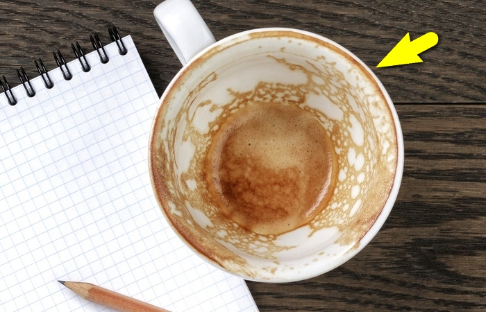 Как часто следует мыть чашку после кофе? (6 фото)