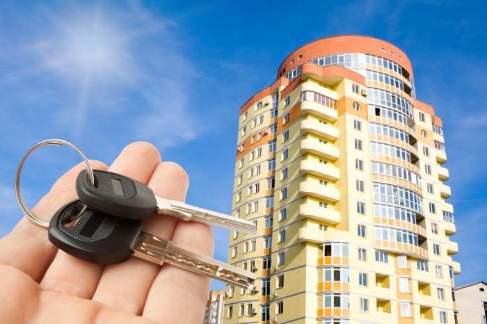 Какими характеристиками должен обладать успешный мужчина? (5 фото)