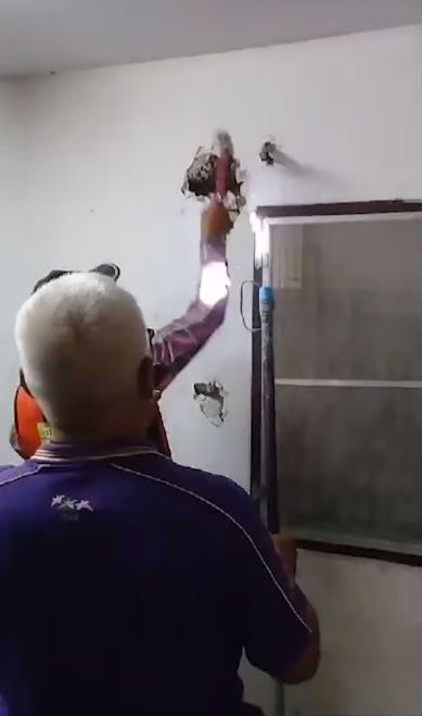 Житель Таиланда обнаружил непрошеного гостя в стене своего дома (4 фото)