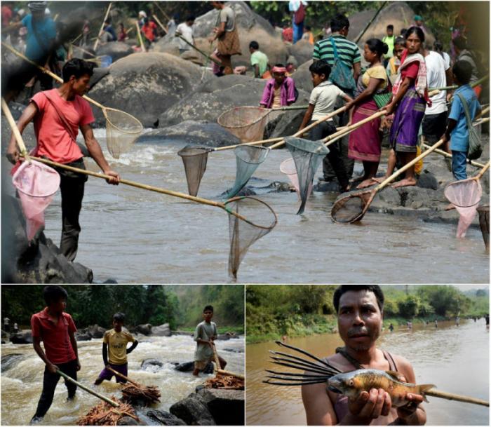 Традиционная ловля рыбы в индийской реке (12 фото)