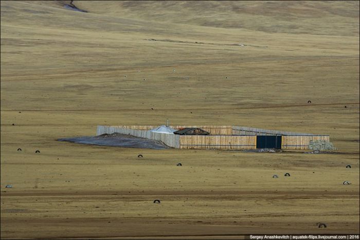 Для чего монгольские кочевники строят забор (3 фото)