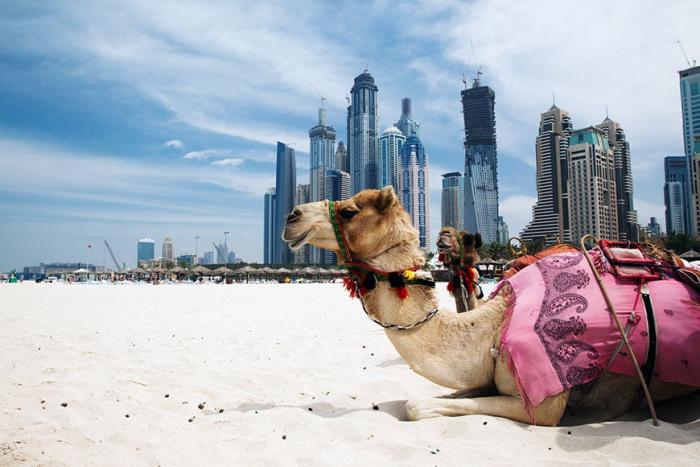 Зачем ехать в отпуск в Дубай (5 фото)