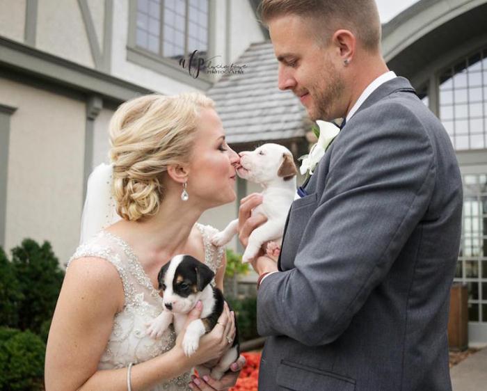 Пара отметила свадьбу с 13 щенками на руках вместо букетов (6 фото)