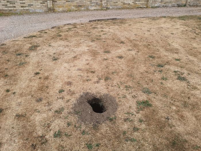 Житель Британии откопал в саду "тайную комнату" (11 фото)