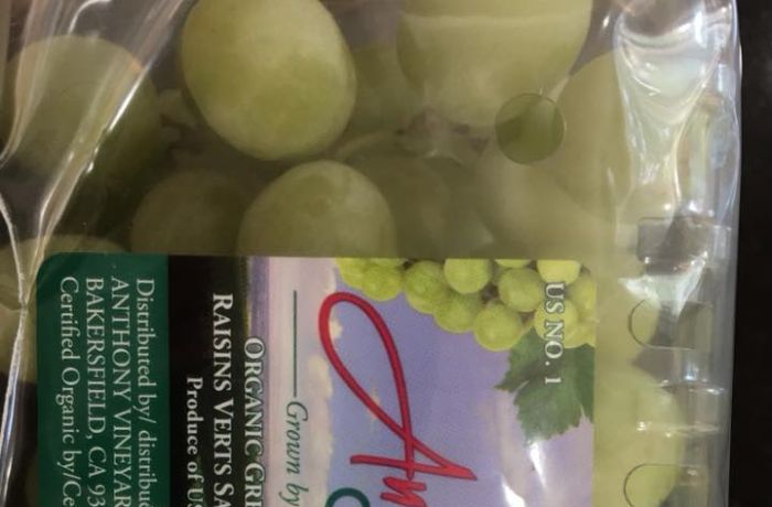 Страшная находка в упаковке с купленным виноградом (4 фото)