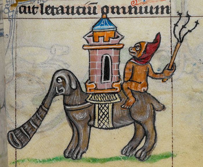 Как выглядел слон на средневековых рисунках (12 фото)